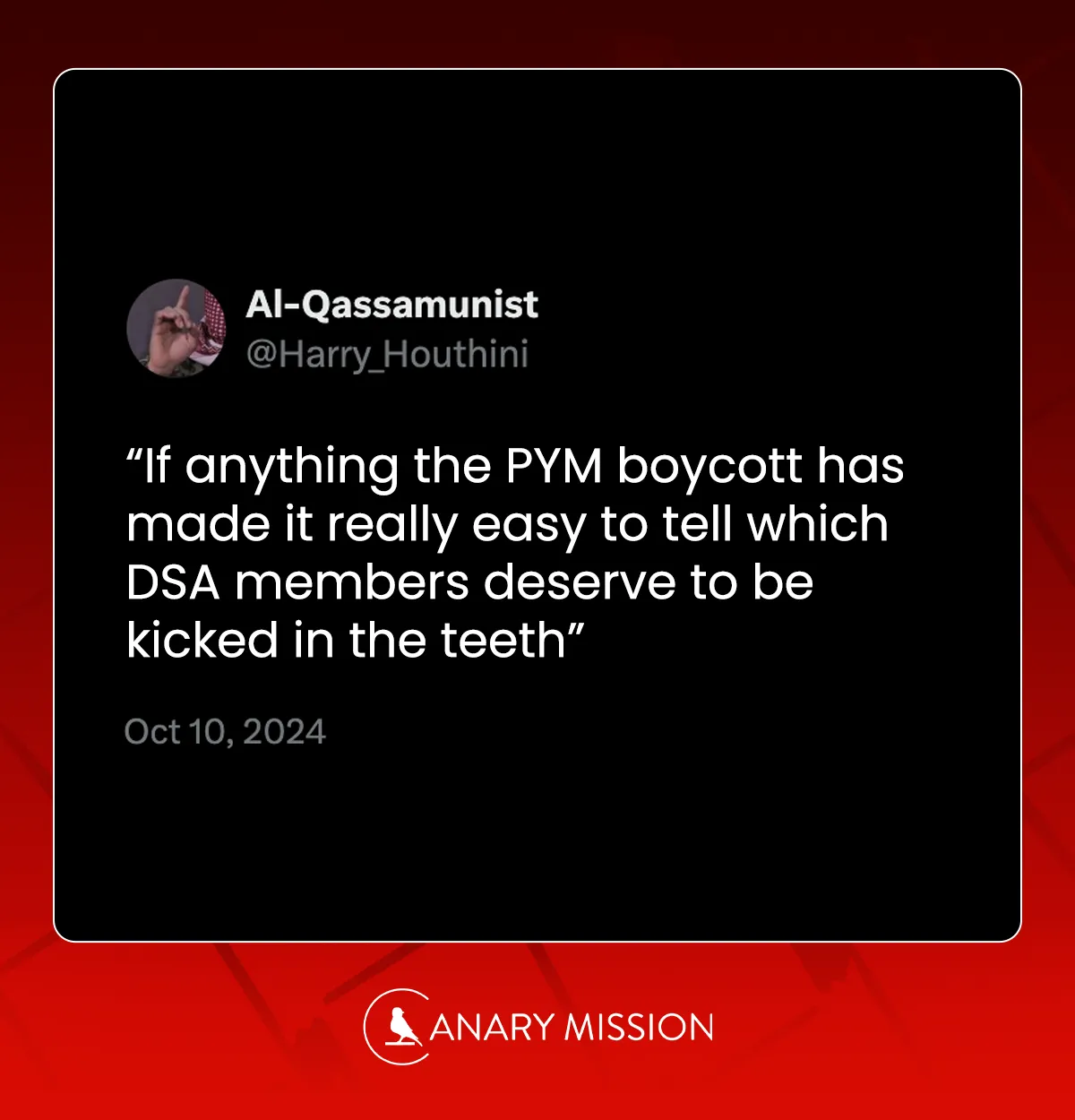 Palestine Litmus Test